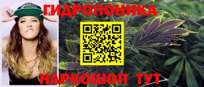 ГАЛЛЮЦИНОГЕННЫЕ ГРИБЫ Новодвинск