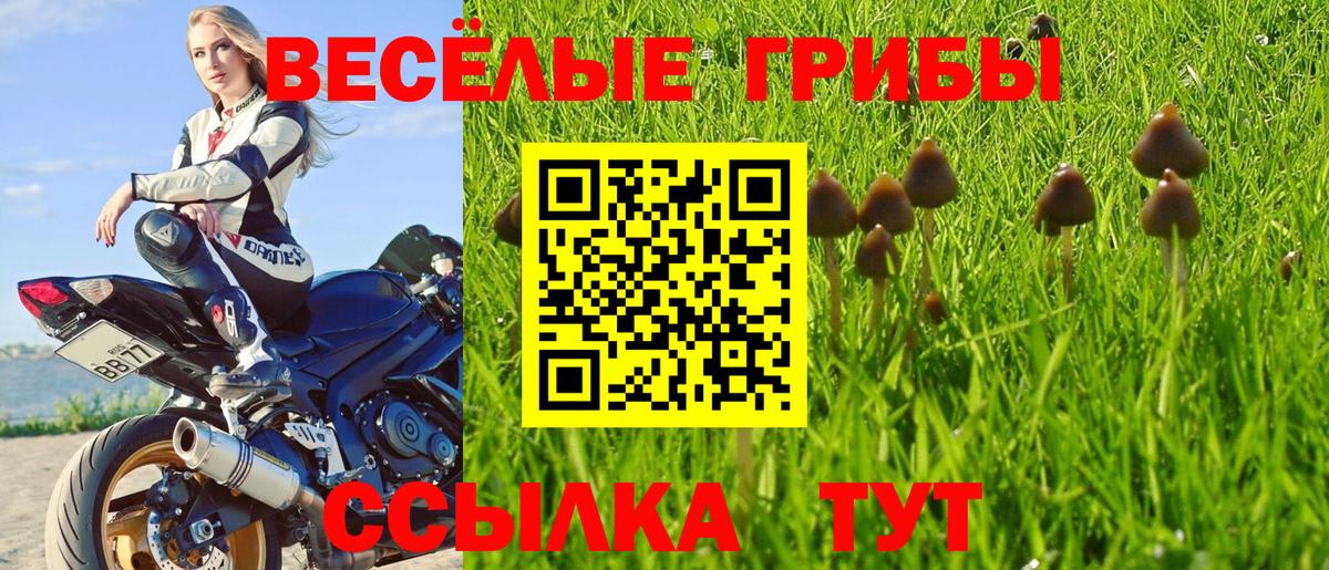 Галлюциногенные грибы Magic Shrooms Сальск