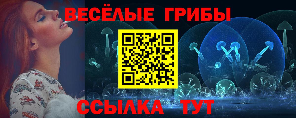 Галлюциногенные грибы прущие грибы  Вход с VPN  дарнет шоп  Сальск  Псилоцибиновые грибы Psilocybe 