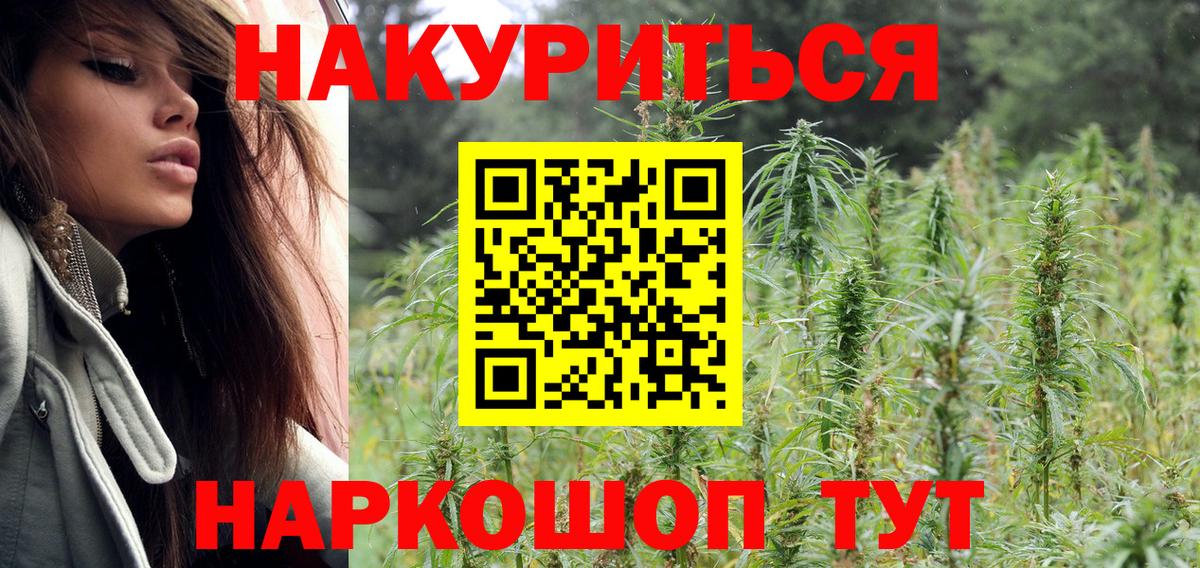 Канабис Bruce Banner  Каннабис гибрид  Вход с VPN  Каннабис VHQ  Каннабис Ganja  Сальск 